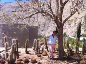 Entre os Vinhedos de Pisco