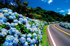 Estrada Romântica