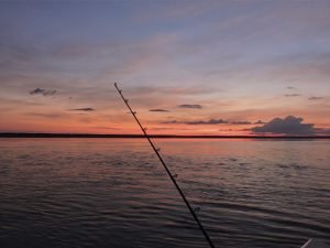 Pesca Xixuau