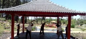 Yoga no Jardim Botânico BSB
