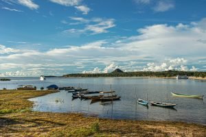 https://www.pexels.com/photo/alter-do-chao-santarem-brazil-8184084/