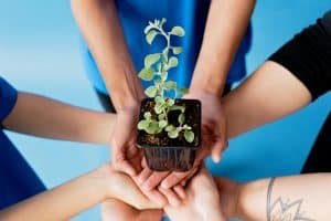 Photo by Mikhail Nilov: https://www.pexels.com/photo/close-up-shot-of-people-holding-a-plant-8543136/